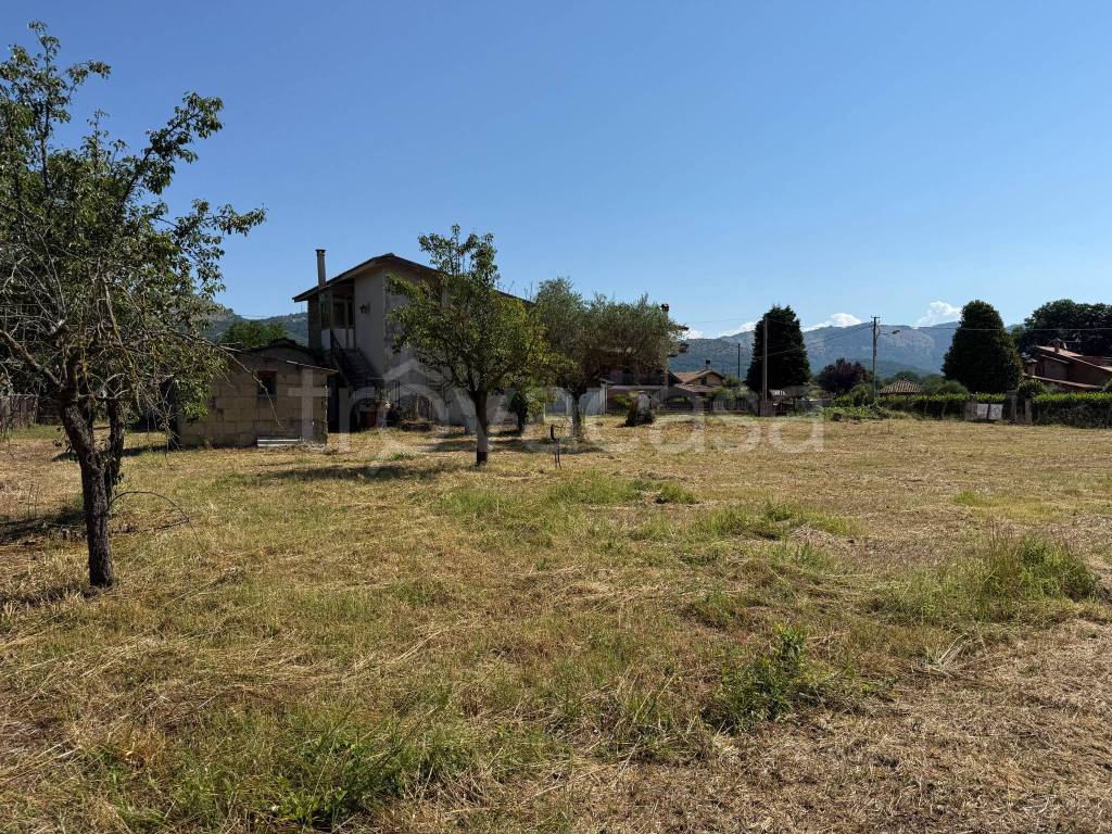 immagine annuncio 6 di 14