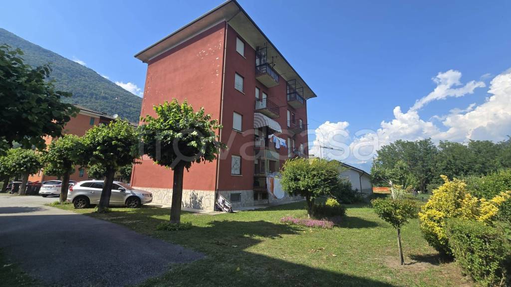 immagine annuncio 1 di 12