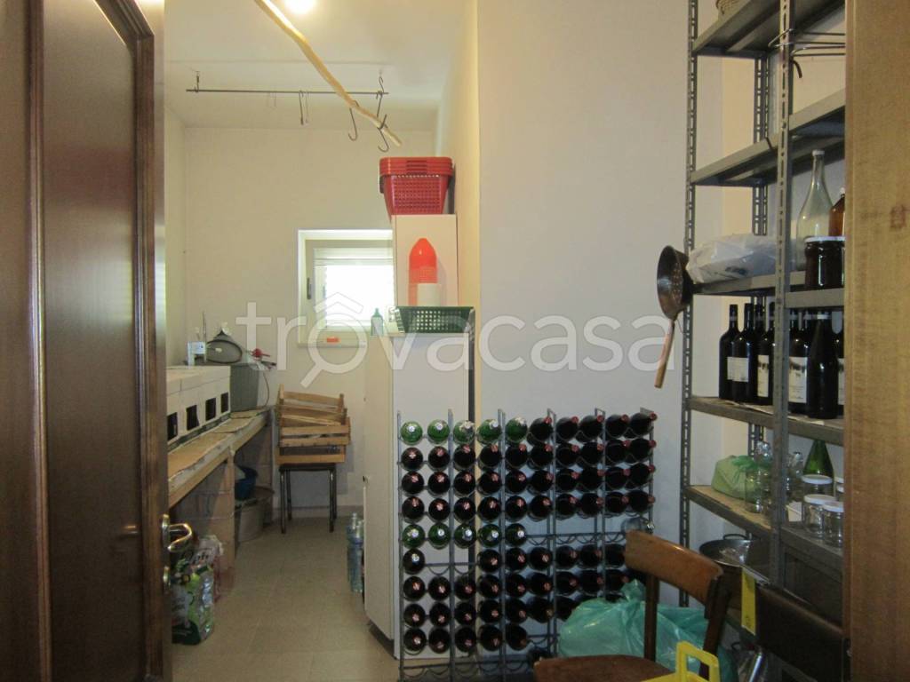 immagine annuncio 12 di 14