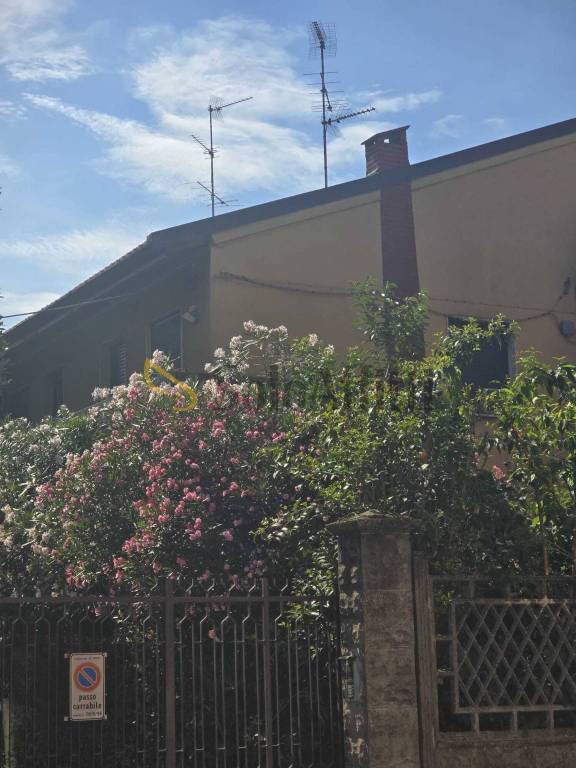immagine annuncio 6 di 7