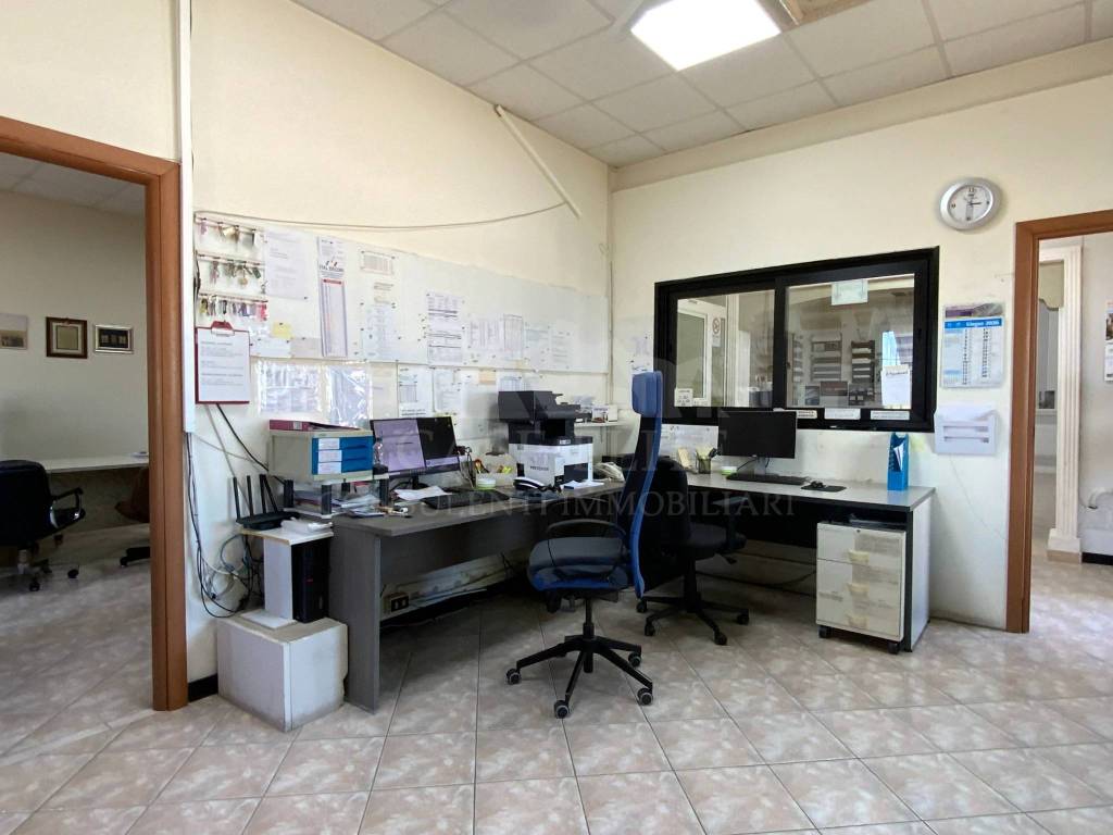 immagine annuncio 11 di 15