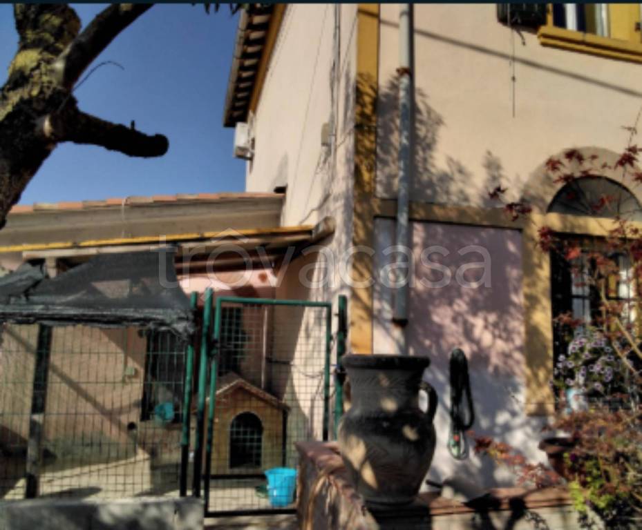 immagine annuncio 2 di 11
