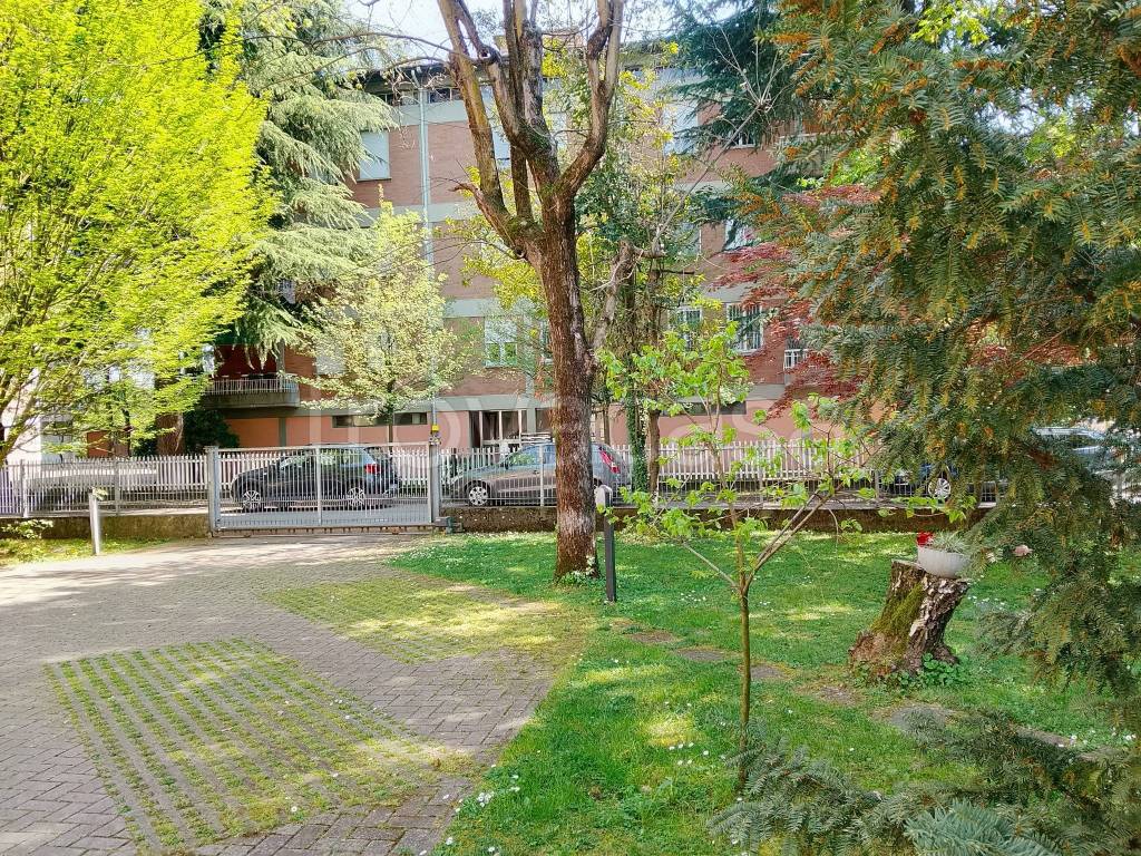 immagine annuncio 3 di 11