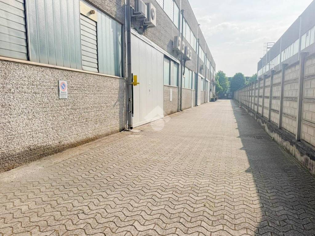 immagine annuncio 8 di 15