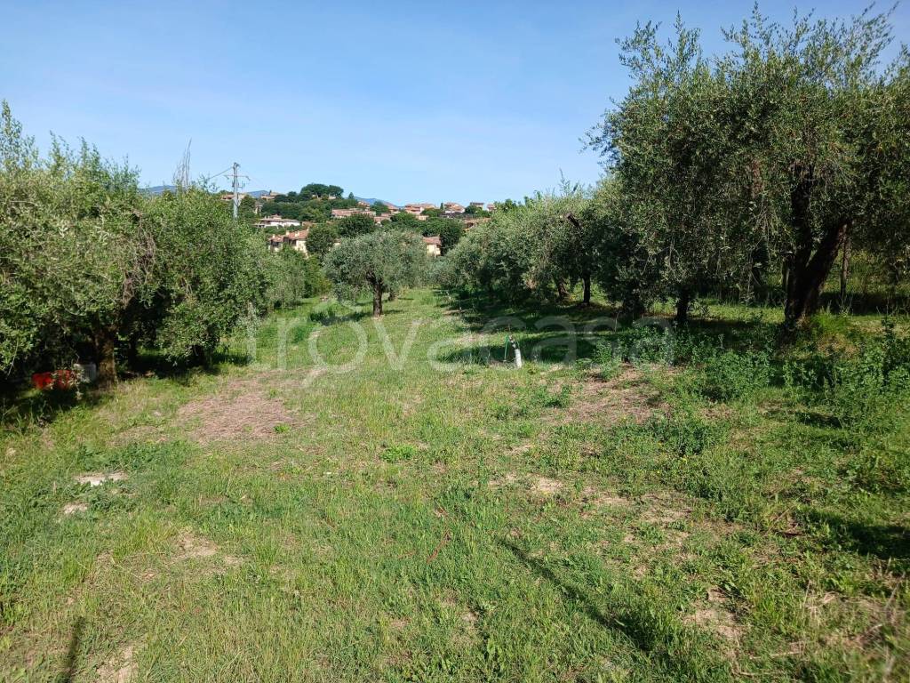 immagine annuncio 2 di 14