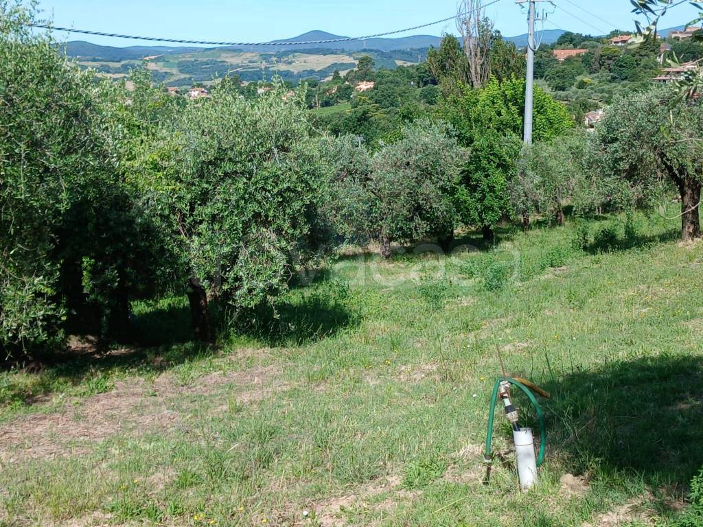 immagine annuncio 3 di 14