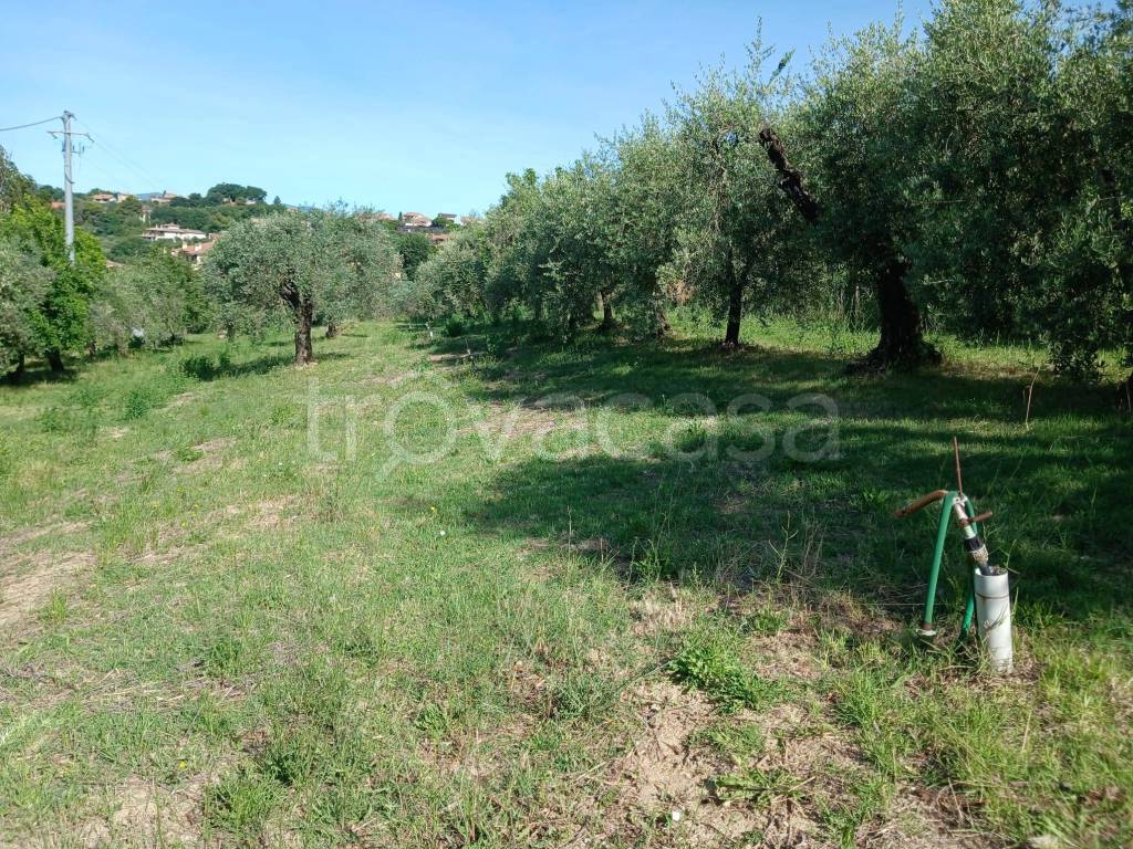 immagine annuncio 4 di 14