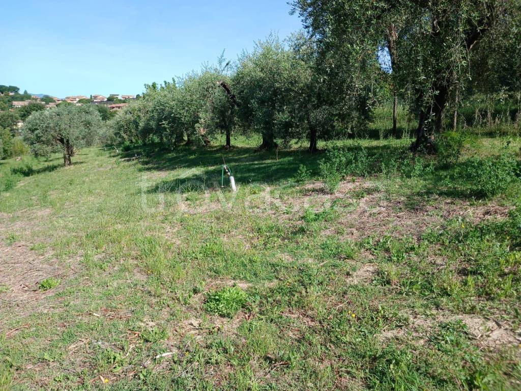 immagine annuncio 9 di 14