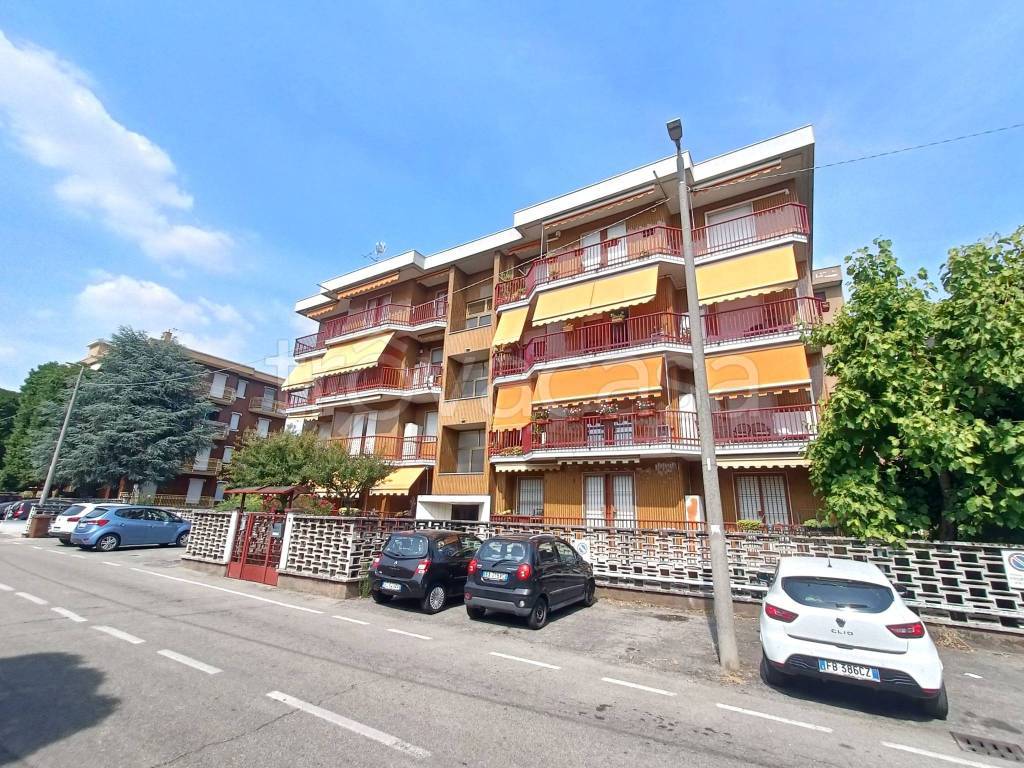 immagine annuncio 11 di 15