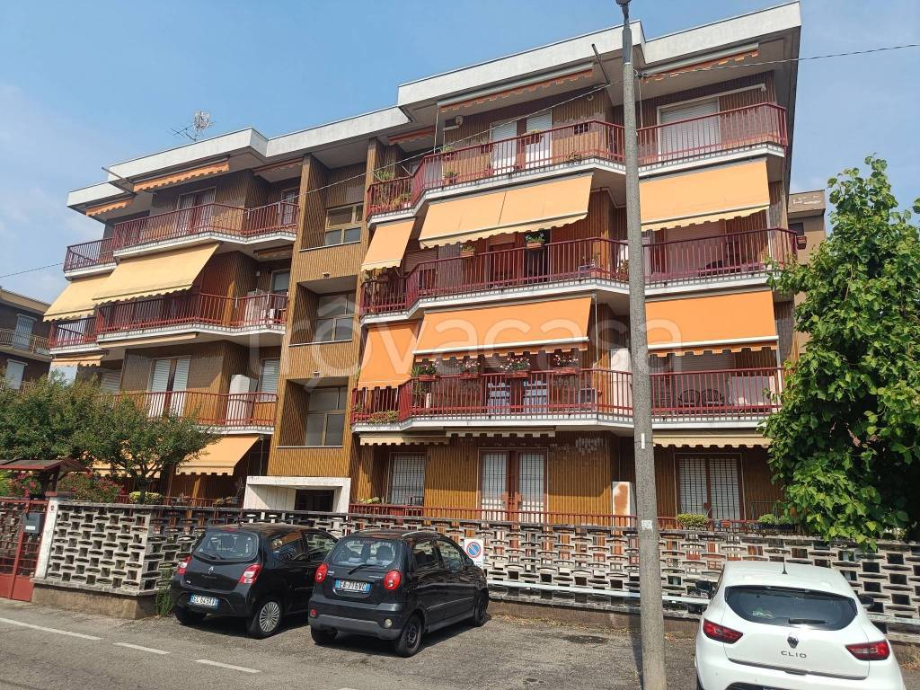 immagine annuncio 12 di 15