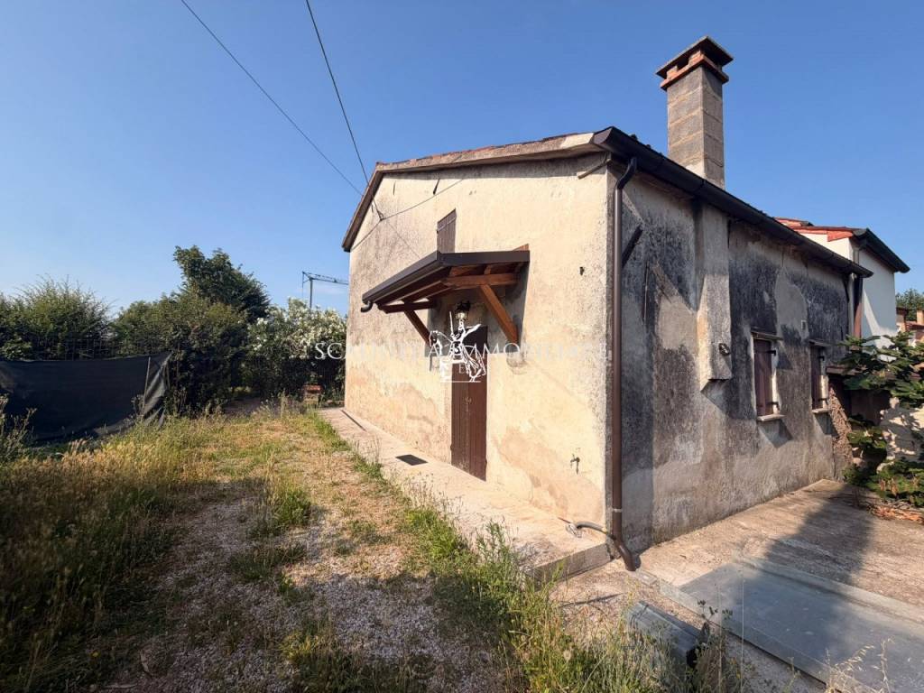 immagine annuncio 1 di 12