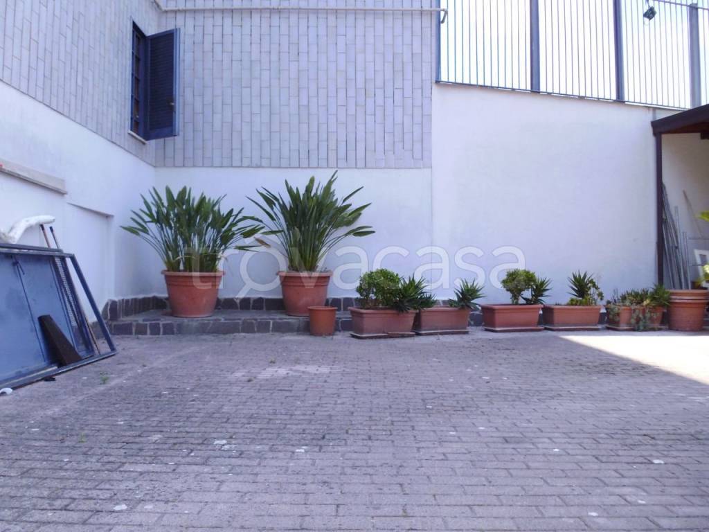 immagine annuncio 4 di 8