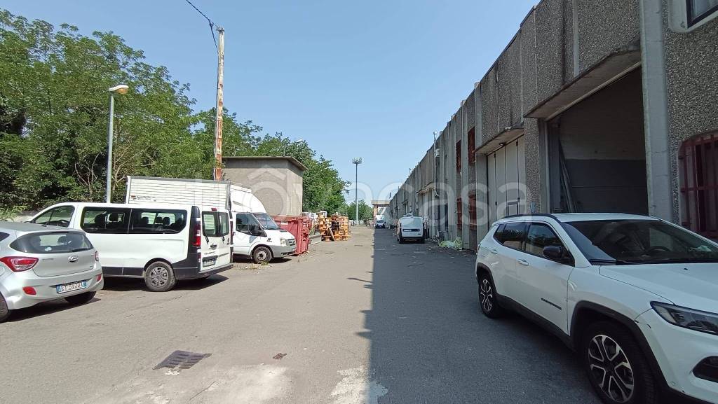 immagine annuncio 11 di 15