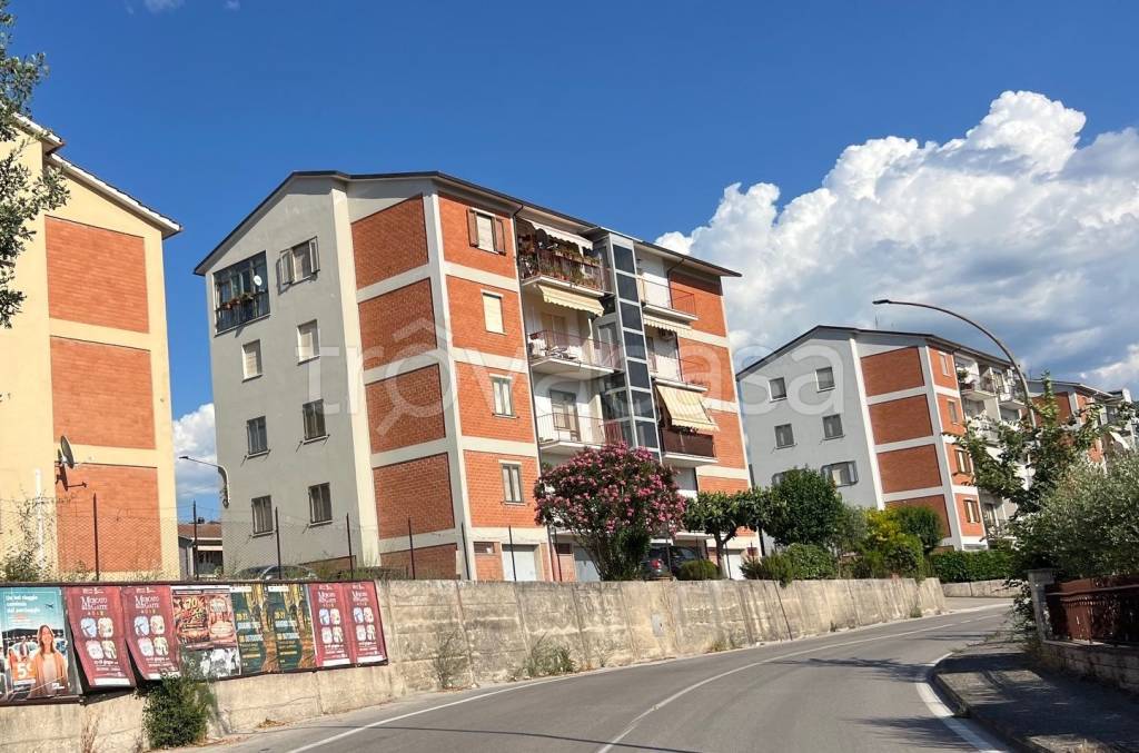 immagine annuncio 1 di 14
