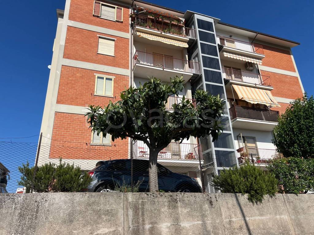 immagine annuncio 6 di 14
