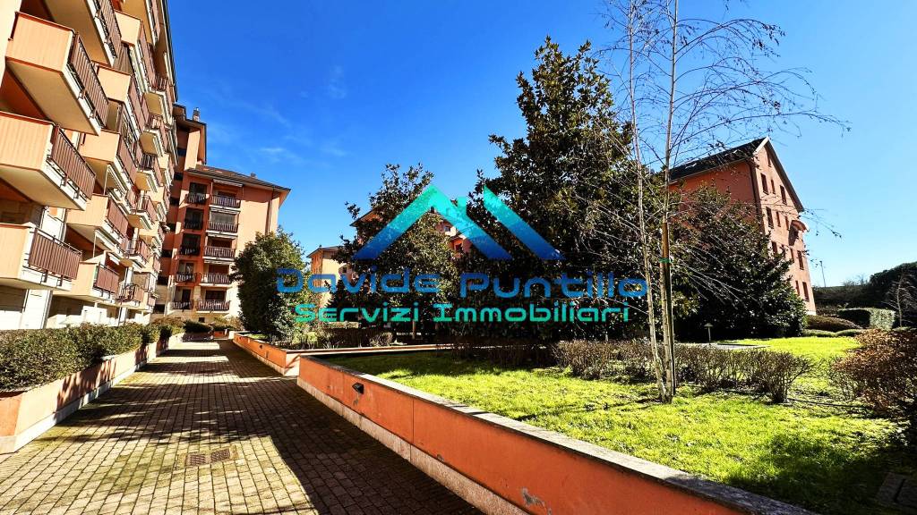 immagine annuncio 13 di 15