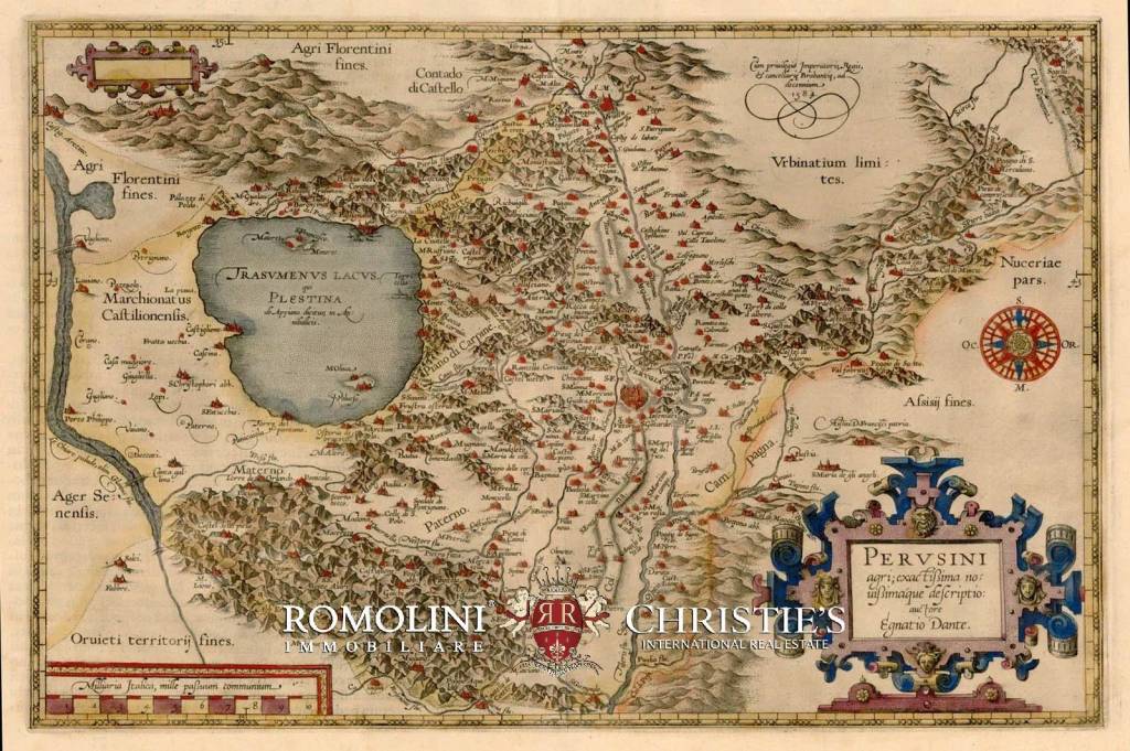 immagine annuncio 12 di 14