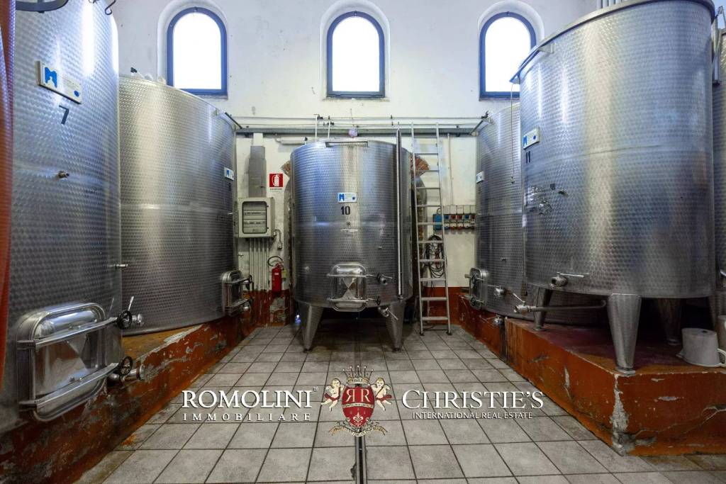 immagine annuncio 10 di 14