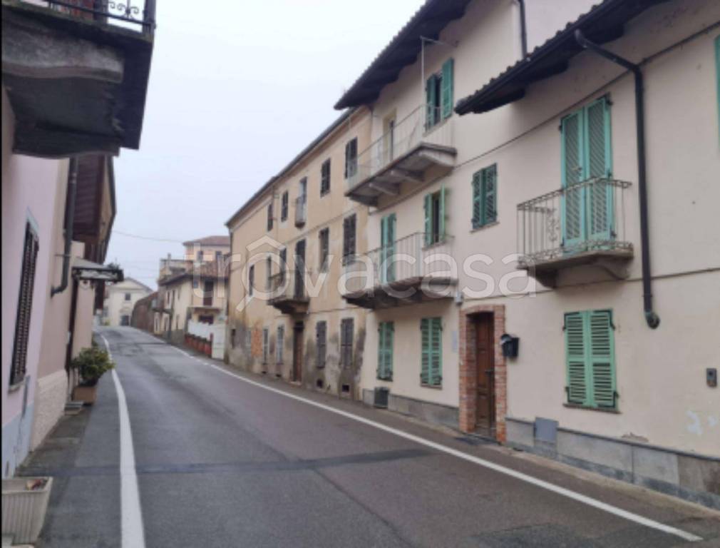immagine annuncio 2 di 12