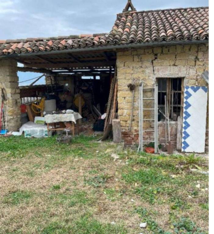 immagine annuncio 9 di 14