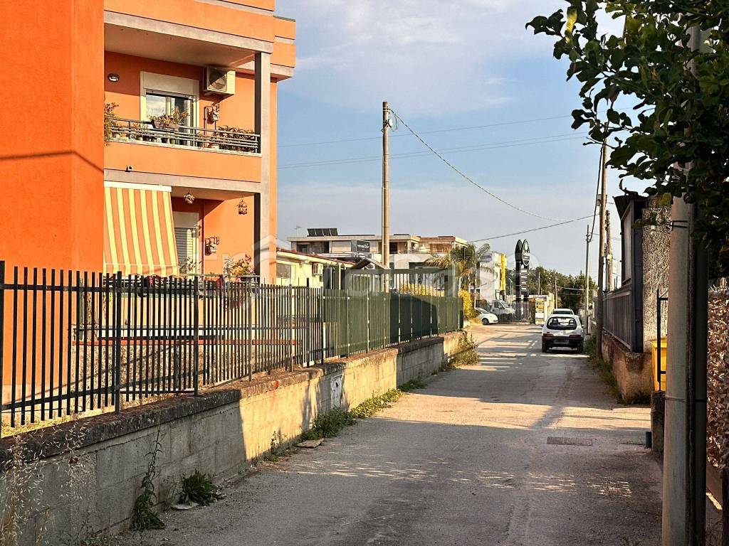 immagine annuncio 4 di 11