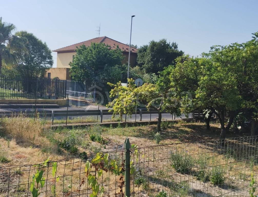 immagine annuncio 8 di 14