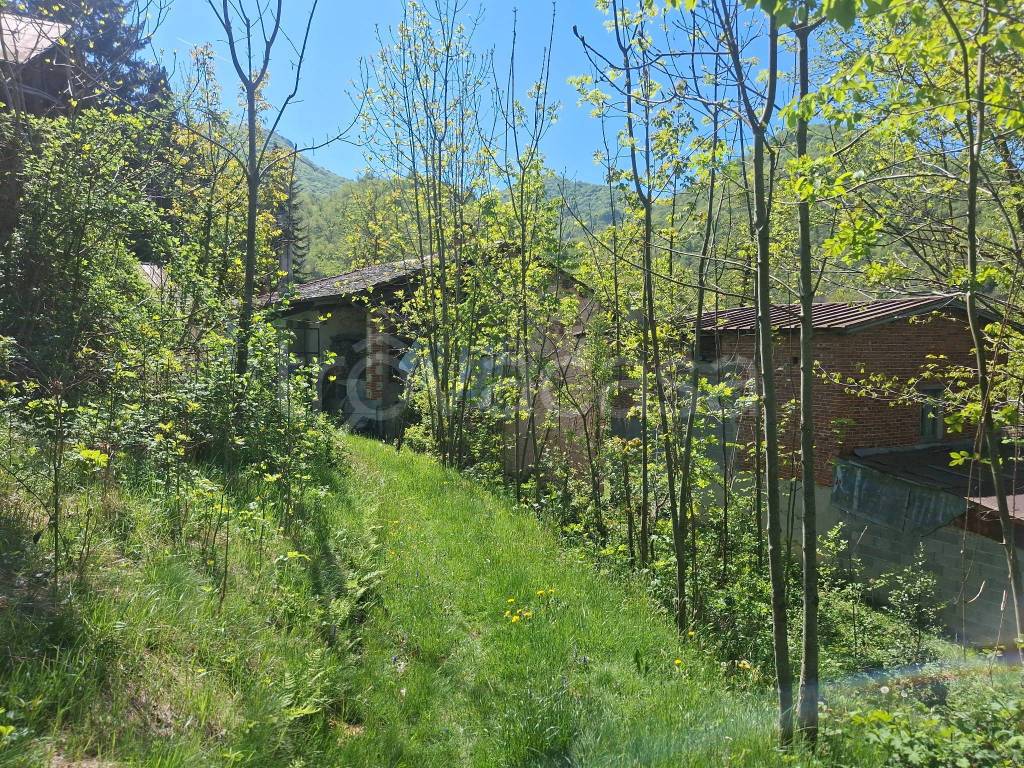immagine annuncio 5 di 10