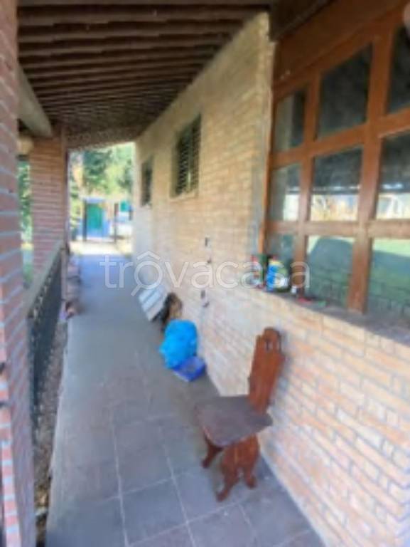 immagine annuncio 5 di 11