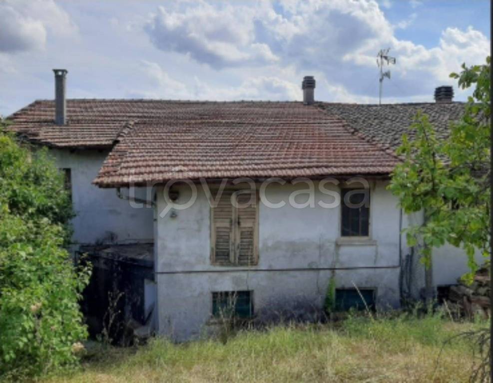 immagine annuncio 7 di 14