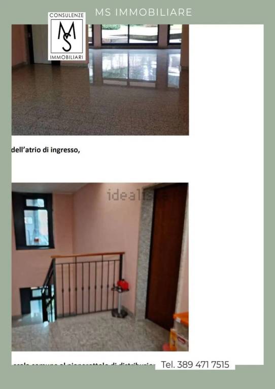 immagine annuncio 1 di 7