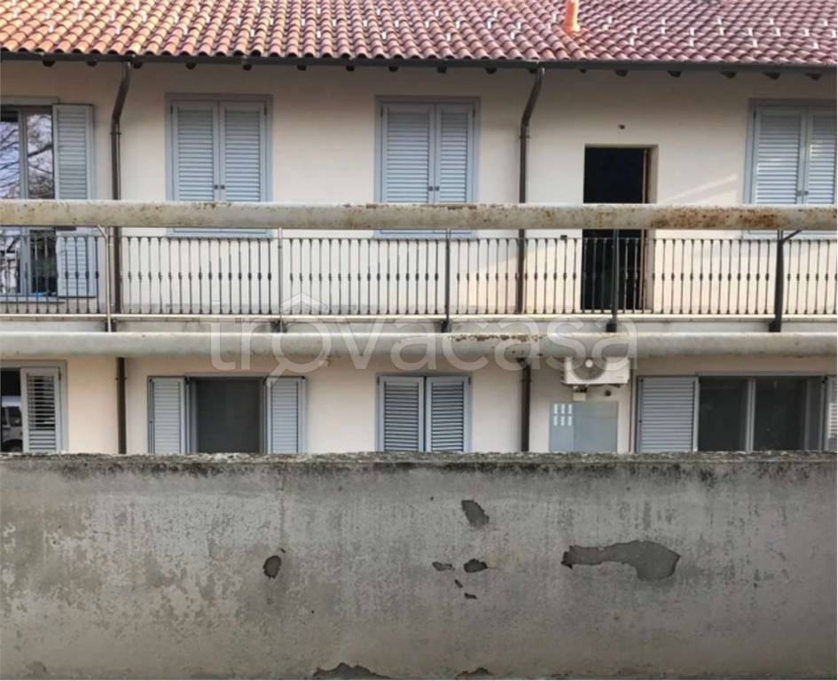 immagine annuncio 6 di 14