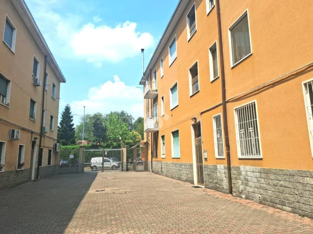 immagine annuncio 5 di 15