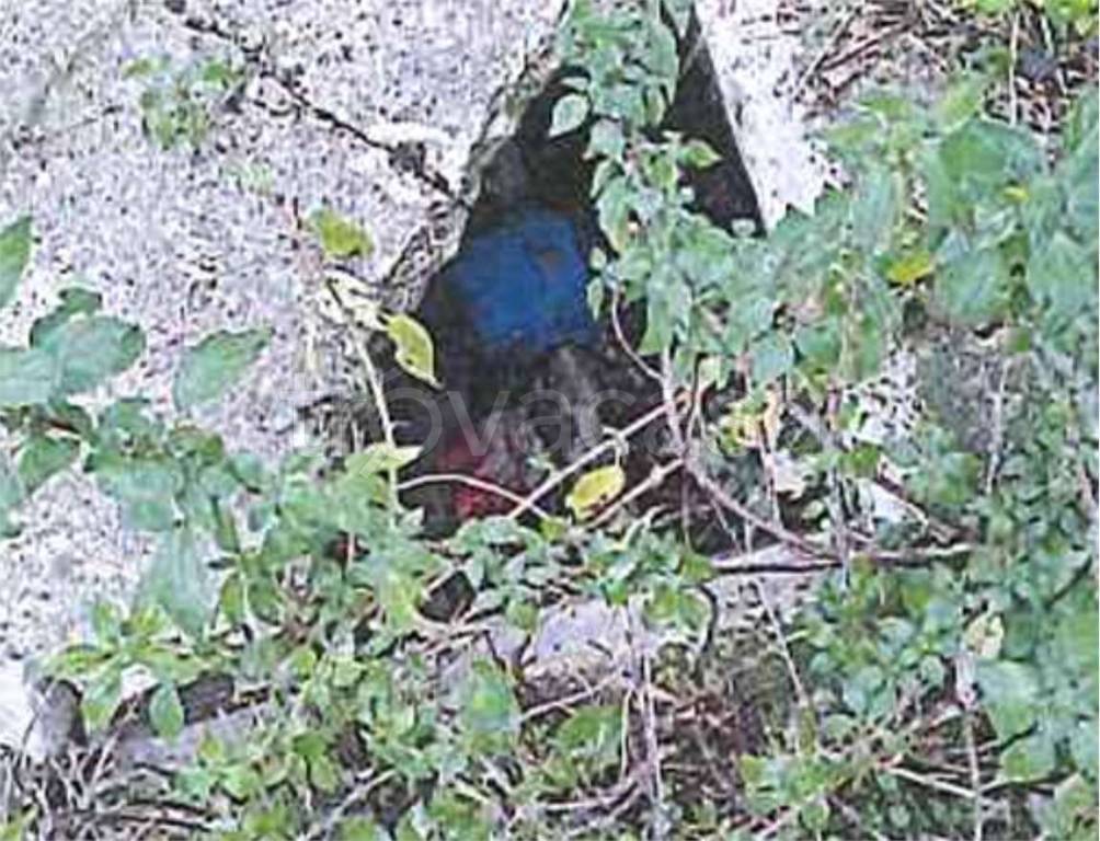 immagine annuncio 3 di 12