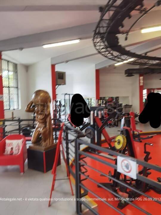 immagine annuncio 3 di 6