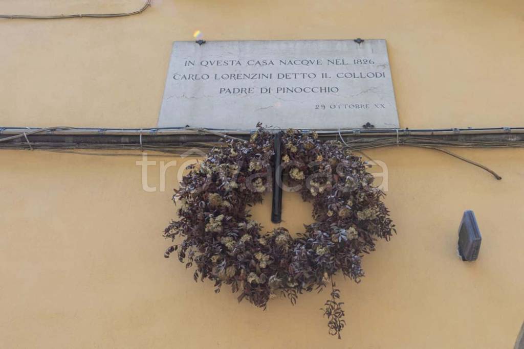 immagine annuncio 13 di 14