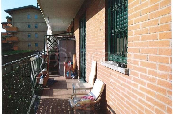 immagine annuncio 3 di 14