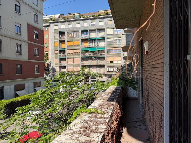 immagine annuncio 3 di 14