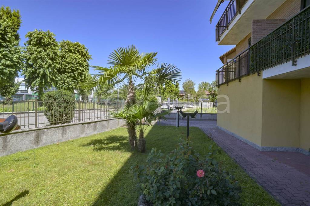 immagine annuncio 3 di 15