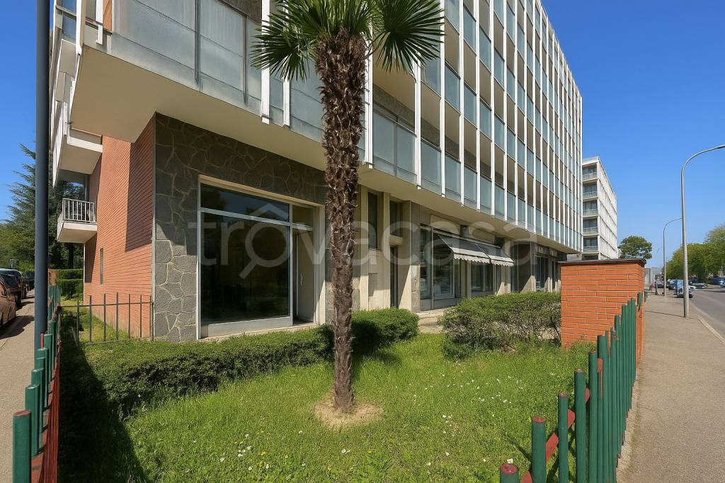 immagine annuncio 10 di 11