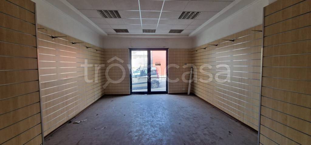 immagine annuncio 8 di 14