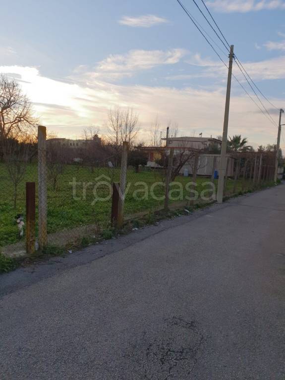 immagine annuncio 10 di 12
