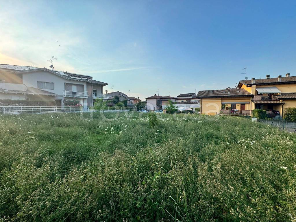 immagine annuncio 2 di 6