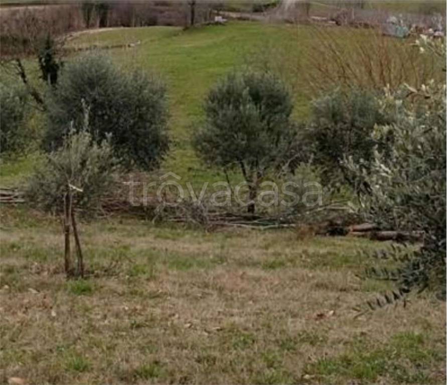 immagine annuncio 4 di 11