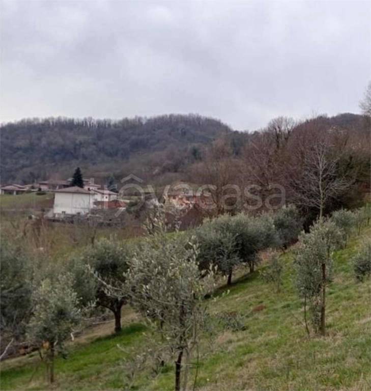 immagine annuncio 6 di 11