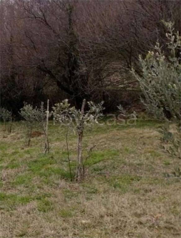 immagine annuncio 7 di 11