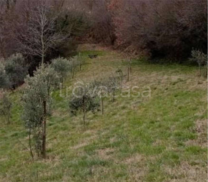immagine annuncio 8 di 11