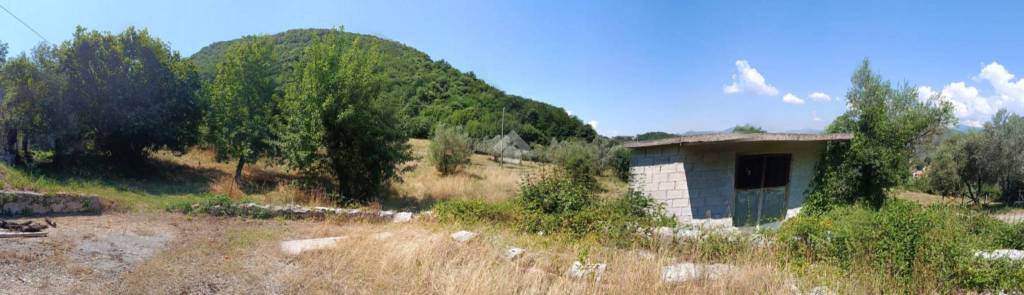 immagine annuncio 7 di 11