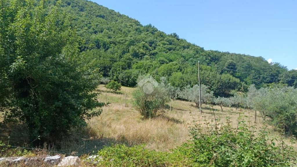 immagine annuncio 8 di 11