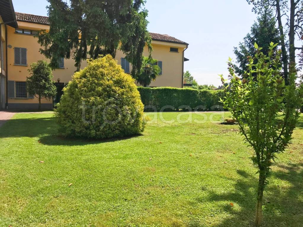 immagine annuncio 2 di 7