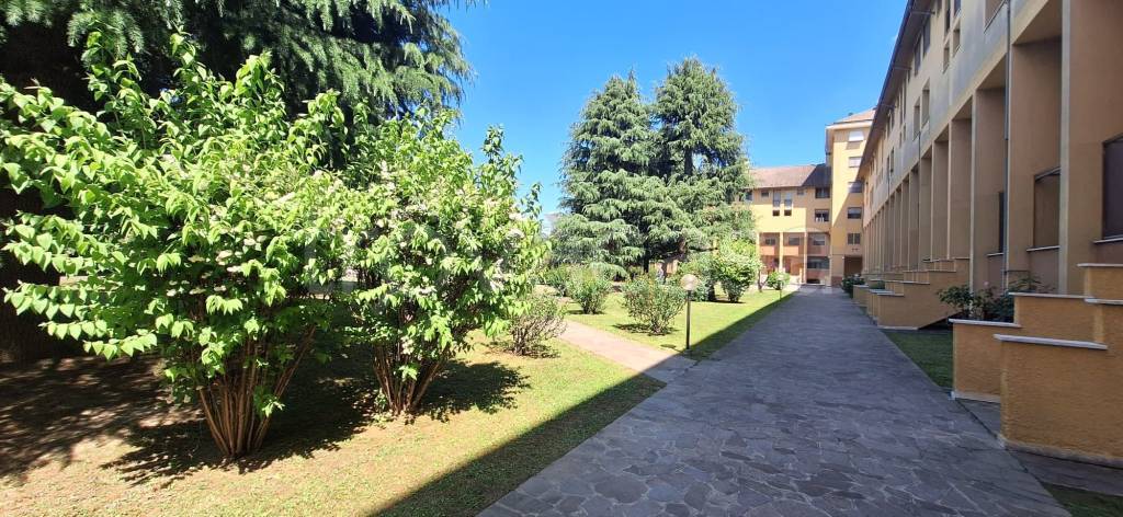 immagine annuncio 13 di 14